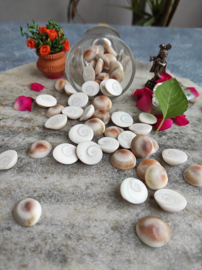 GOMATI CHAKRA SMALL 100GM